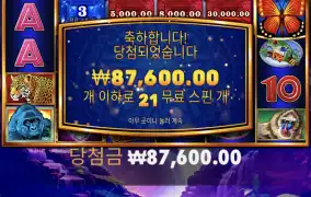 출시예정 콩고캐시xl