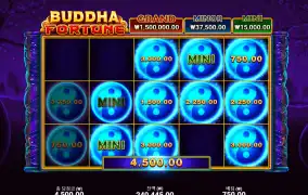 buddha 포츈 후기