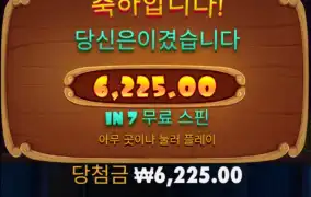 개집도 버릴때 됬네