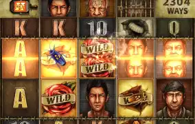 노리밋은 참신기해