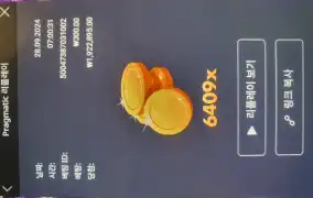 블레이징 와일드메가 6 4 0 9