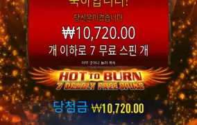 핫 투번 7데들리