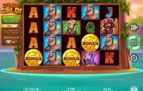 요호 골드 !! 후기