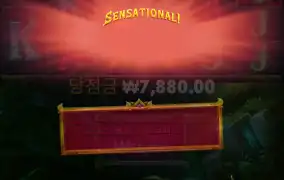 멀린 바닥센세 맥스에서