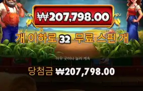 바니야드 메가헤이스 메가웨이즈