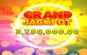 3 클로버 팟 리뷰