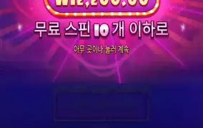 슈가1000