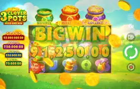 3 clover pots 추천드려요