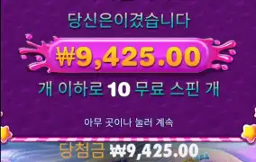 보난자1000