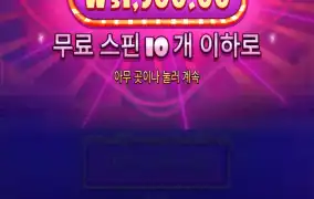 슈가1000