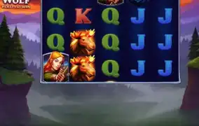 BNG 블랙울프