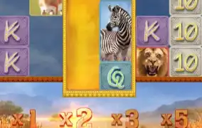 Safari Wilds