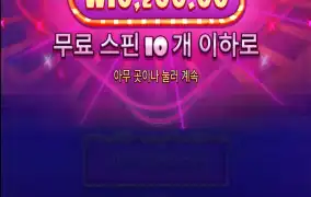 슈가