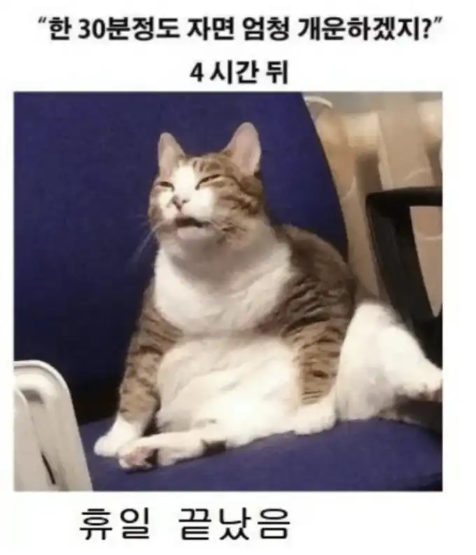 20250412232802z.jpeg