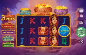 차 이 나 페 스 티 벌