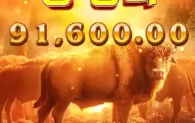 PG 버팔로윈