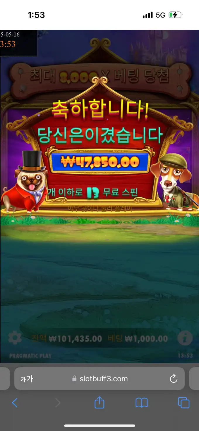 20250516135504IMG_7584.png