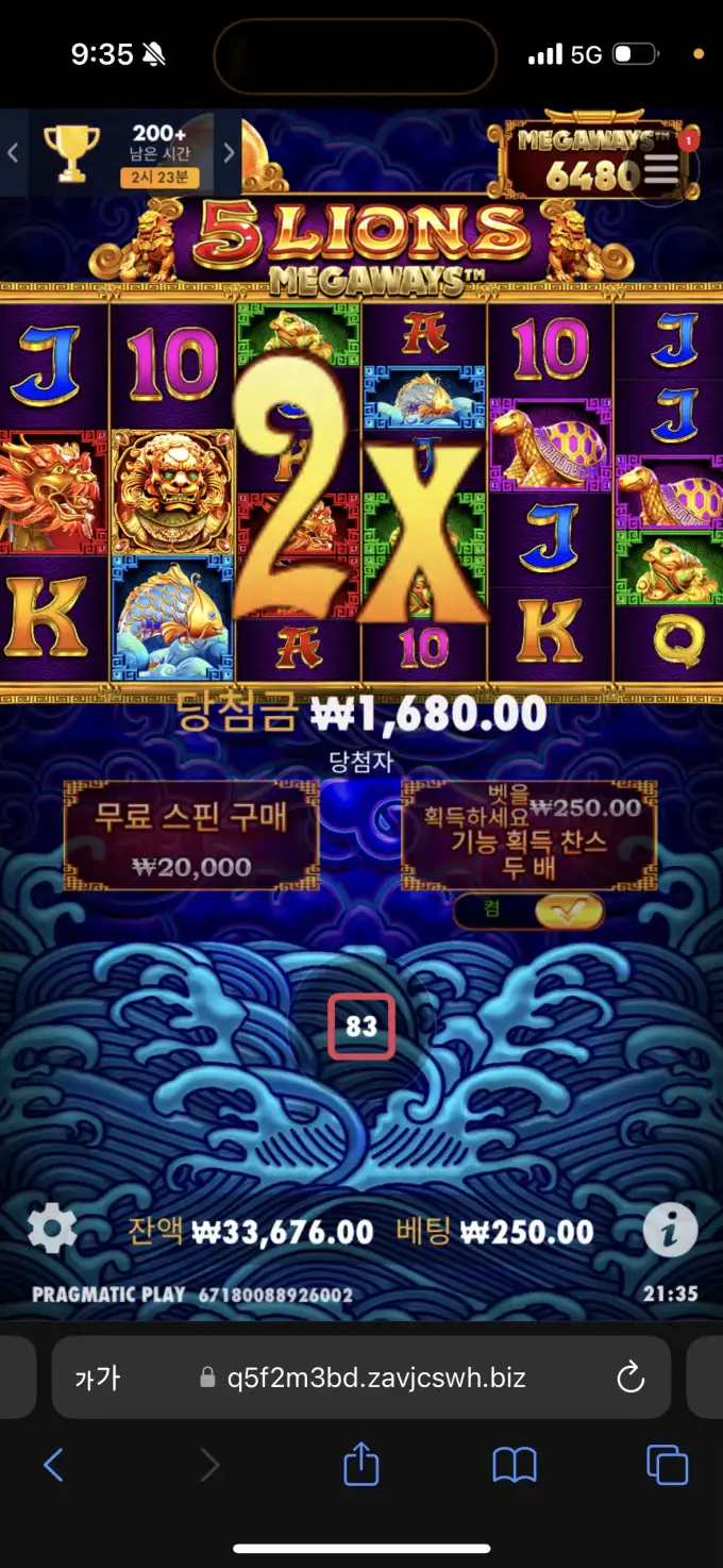 20250623213804IMG_8252.png