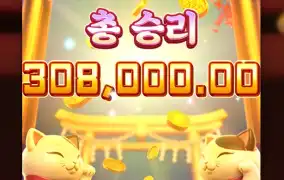 복고양이는 열일합니다