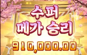 네코가 이렇게 터지면 참말로 못 끊는다