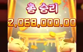 고양이가 강림했습니다