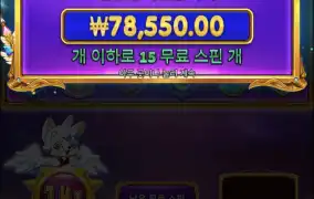 오 요기 괜찮나보네