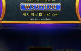 올푸구매