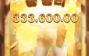 화끈한 33만짜리 총알