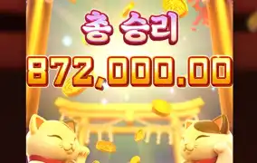 고양ㄴ이가 강림했습니다