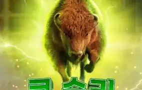 버팔로 한 마리로 판 뒤집음