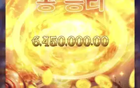 피지 신비한물약