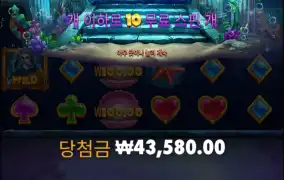 와일드 와일드 피얼스