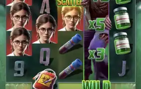 피지 좀비아웃~