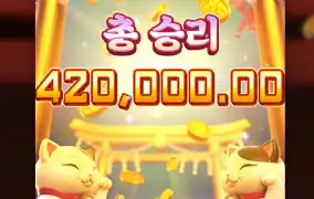 고양이들이 재롱부리네