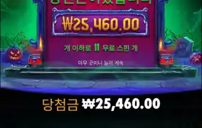 인펙티브 와일드