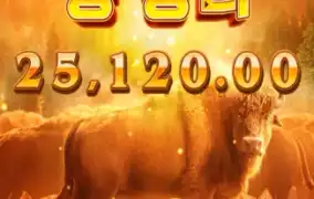 무료스핀 진입 후 분위기 바뀜