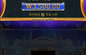 올림푸스 천 구매