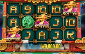 8골드 드래곤 챌린지