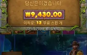 버뮤다 구매