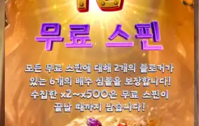 피지 잼스톤 기대되는순간