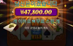 포춘에이스 마감한다