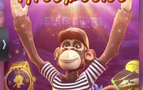 피지 와일드 유인원 두번째