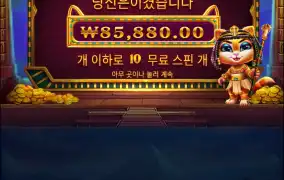 우와... 캐트라... 감사합니다