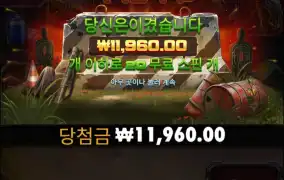 배구 제로 한판