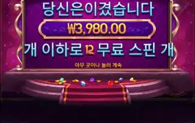 지니스 잼 보난자