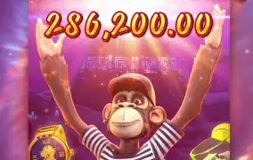 힙합 원숭이 지려