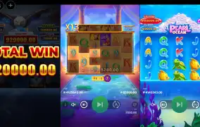 독수리 형님이 큰 거 한 방 주네