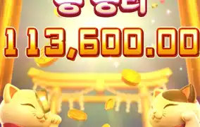 피지 행운의 내코