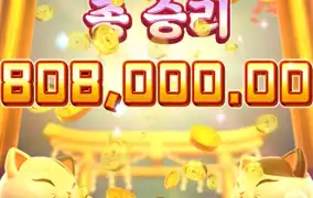 피지 행운의 내코