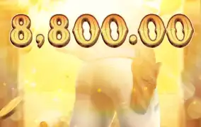 피지 와일드바운티